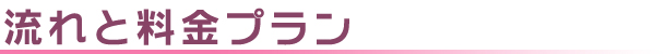 流れと料金プラン